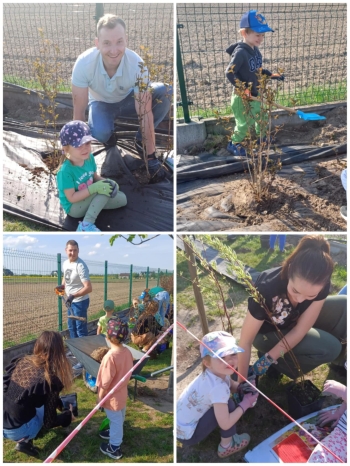 493922848_1264109262381927_8814373785821391449_n