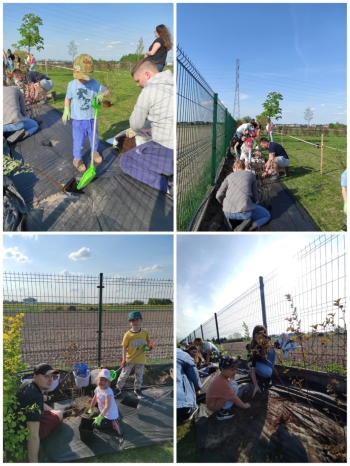 493904546_1264109285715258_9139183925491311892_n