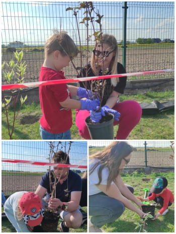 494153956_1264109275715259_7060327411854827400_n