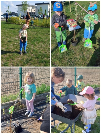 494502416_1264109179048602_5577502967518419589_n