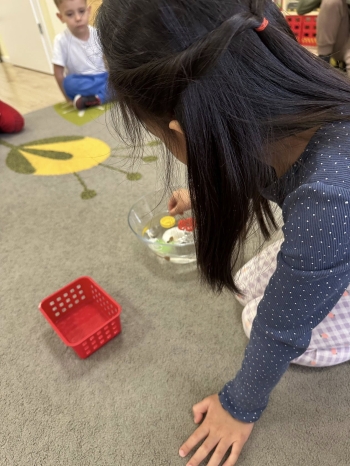 487115893_1231037799022407_8447839399373475192_n