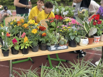 495075509_1790503308165765_8608456010666935617_n