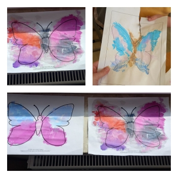 Motyle (2)