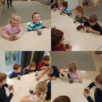 468829657_1138460581613463_8444353294115796763_n