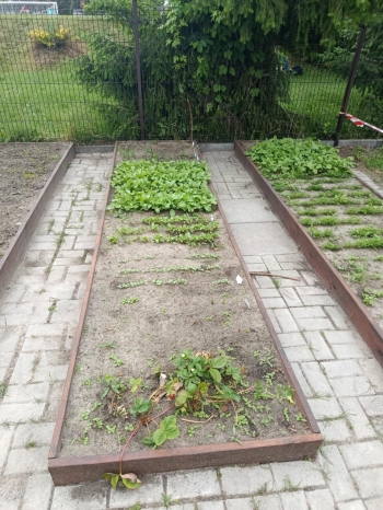 504083359_1294820959310757_4664084402684853447_n