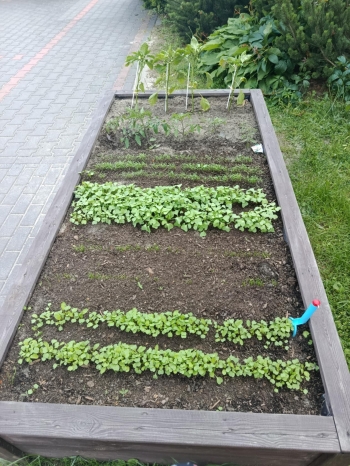 504104227_1294820935977426_7197291732839747819_n