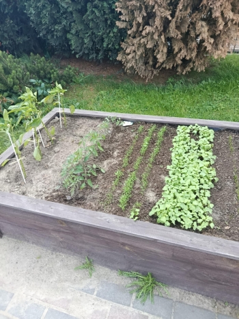 504170614_1294821022644084_5115253994209922460_n