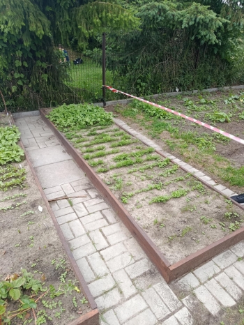 504216473_1294820985977421_4272322278052752621_n