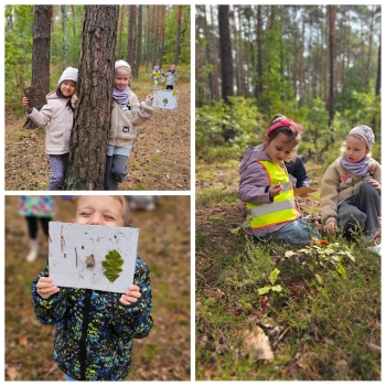 PhotoCollage_1759151721269