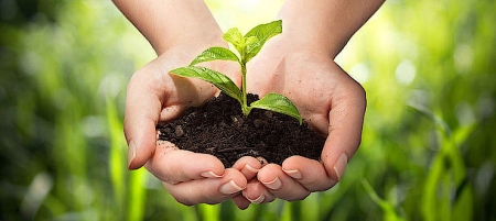 Moja Ziemia – Mój Dom – podsumowanie roku eko-działań 