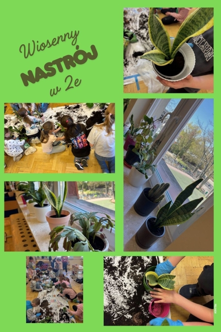 Wiosna zawitała do naszej sali na dobre!